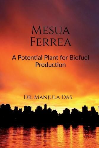 Cover image for Mesua Ferrea