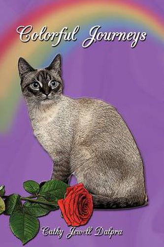 Cover image for Colorful Journeys