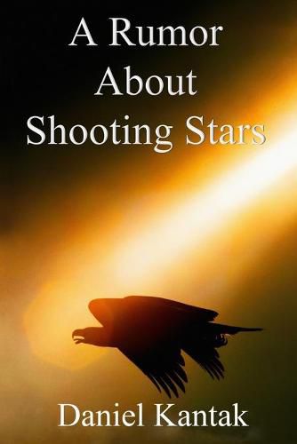 Cover image for A Rumor About Shooting Stars