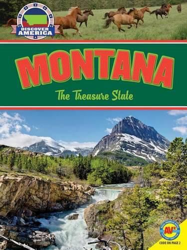 Cover image for Montana: The Treasure State