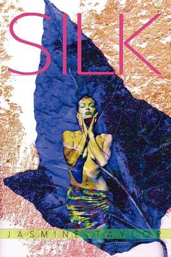 Cover image for Silk