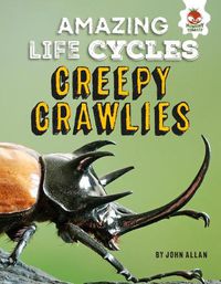 Cover image for Creepy Crawlies - Amazing Life Cycles