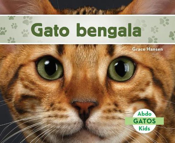 Cover image for Gato Bengala/ Bengal Cats