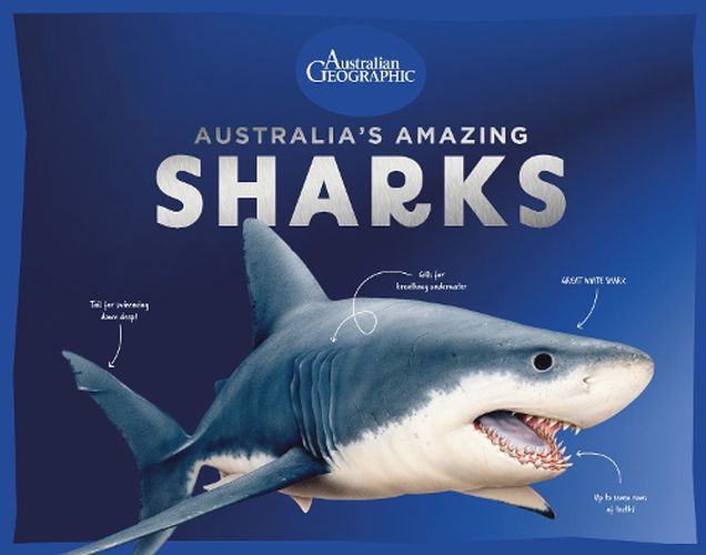 Cover image for Australia's Amazing Sharks