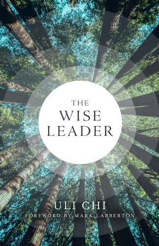 Cover image for The Wise Leader