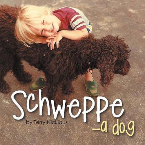 Cover image for Schweppe