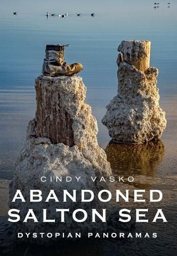 Cover image for Abandoned Salton Sea: Dystopian Panoramas