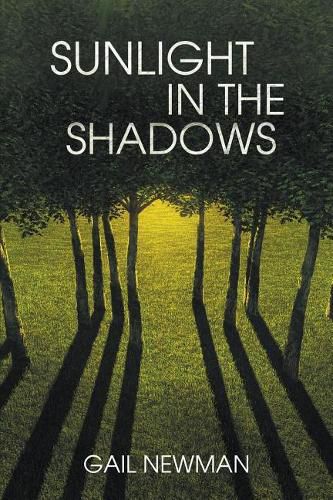 Cover image for Sunlight in the Shadows