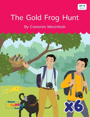Cover image for The Gold Frog Hunt x 6 (Set 15, Book 6)