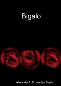 Cover image for Bigalo