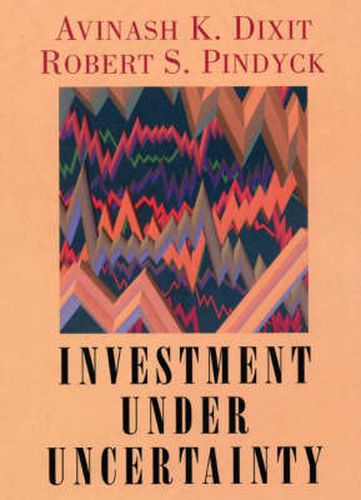 Cover image for Investment Under Uncertainty