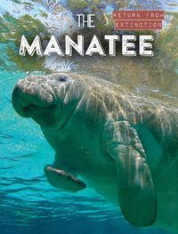 Cover image for The Manatee