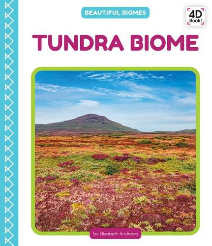 Tundra Biome