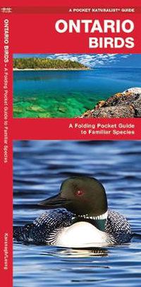 Cover image for Ontario Birds: A Folding Pocket Guide to Familiar Species