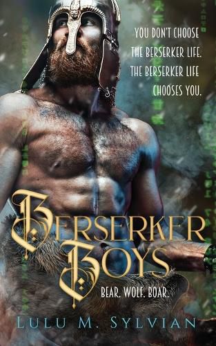 Cover image for Berserker Boys