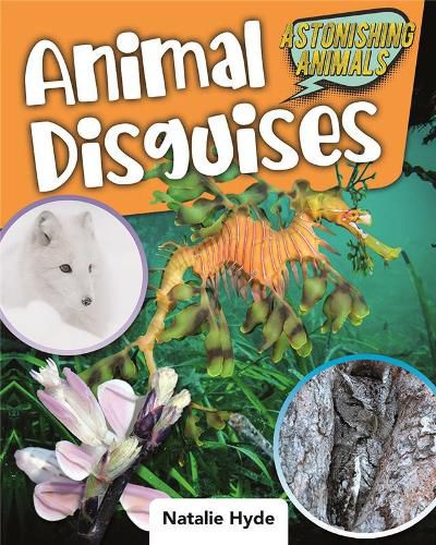 Animal Disguises