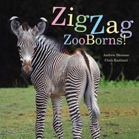 Cover image for Zigzag Zooborns!: Zoo Baby Colors and Patterns