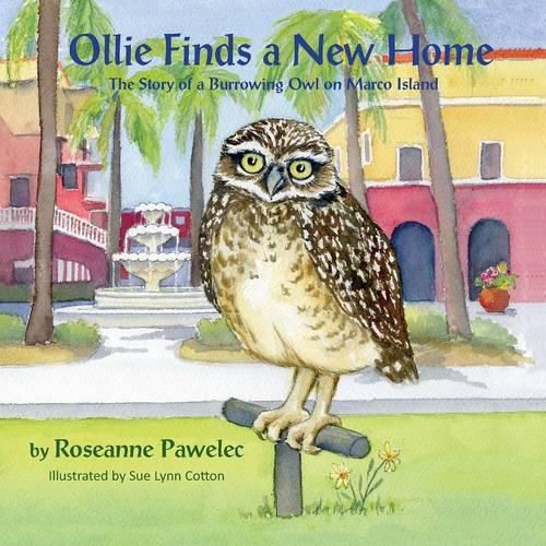 Cover image for Ollie Finds a New Home, The Story of a Burrowing Owl on Marco Island