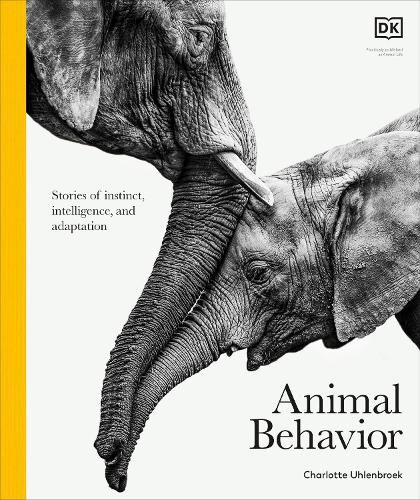 Cover image for Animal Behavior