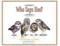 Cover image for Who Says Hoo?: A Book for Babies & Toddlers - and anybody else that likes animals.