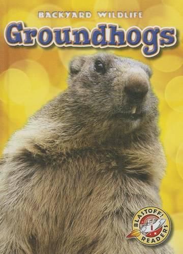 Groundhogs