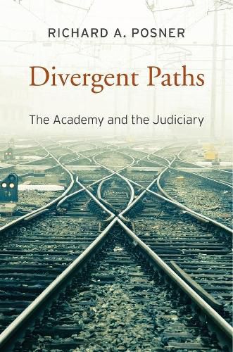 Cover image for Divergent Paths: The Academy and the Judiciary