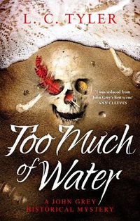 Cover image for Too Much of Water: a gripping historical crime novel