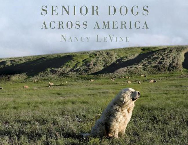 Cover image for Senior Dogs Across America