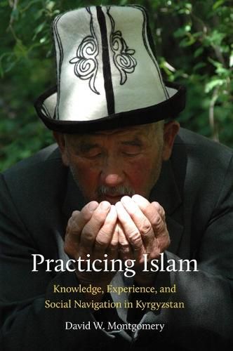 Cover image for Practicing Islam: Knowledge, Experience, and Social Navigation in Kyrgyzstan