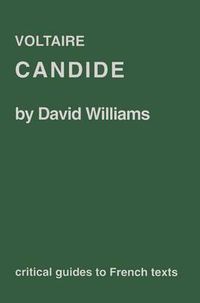 Cover image for Voltaire: Candide
