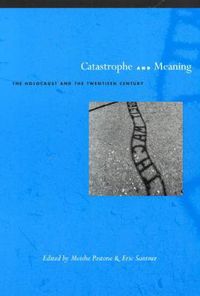 Cover image for Catastrophe and Meaning: The Holocaust and the Twentieth Century