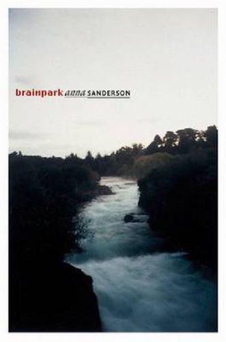 Cover image for Brainpark