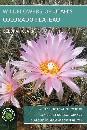 Cover image for Wildflowers of Utah's Colorado Plateau: A Field Guide to Wildflowers of Capitol Reef National Park and Surrounding Areas of Southern Utah