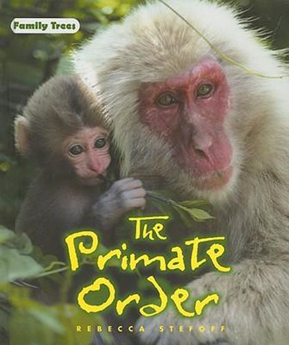Cover image for The Primate Order
