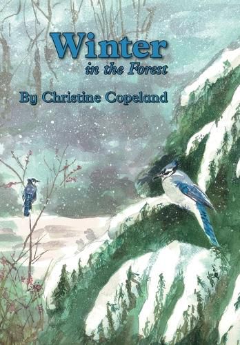 Cover image for Winter in the Forest