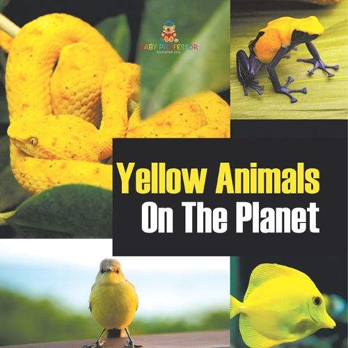 Cover image for Yellow Animals On The Planet