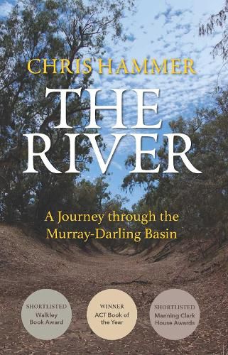 Cover image for The River