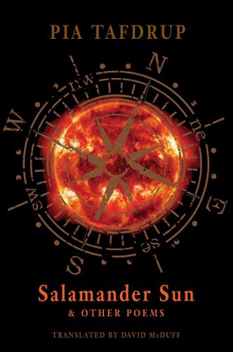 Cover image for Salamander Sun and Other Poems