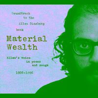 Cover image for Material Wealth