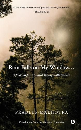 Cover image for Rain Falls on My Window...