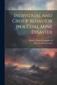 Cover image for Individual and Group Behavior in a Coal Mine Disaster