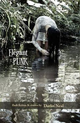 Cover image for Elegant Punk