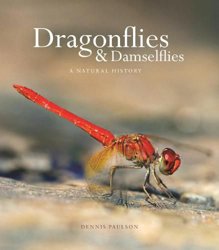 Cover image for Dragonflies and Damselflies: A Natural History