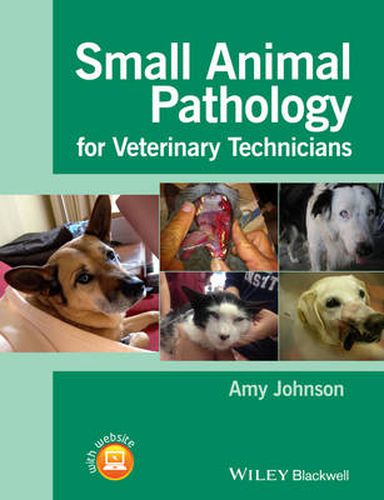 Cover image for Small Animal Pathology for Veterinary Technicians