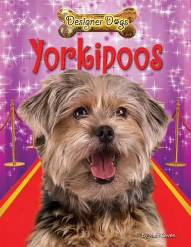 Cover image for Yorkipoos