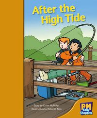 Cover image for After the High Tide