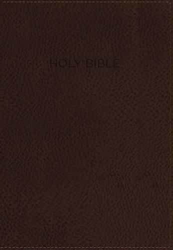 Cover image for NIV, Foundation Study Bible, Leathersoft, Brown, Red Letter, Thumb Indexed