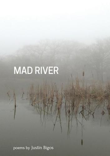 Cover image for Mad River