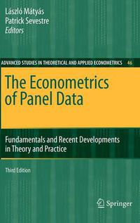 Cover image for The Econometrics of Panel Data: Fundamentals and Recent Developments in Theory and Practice