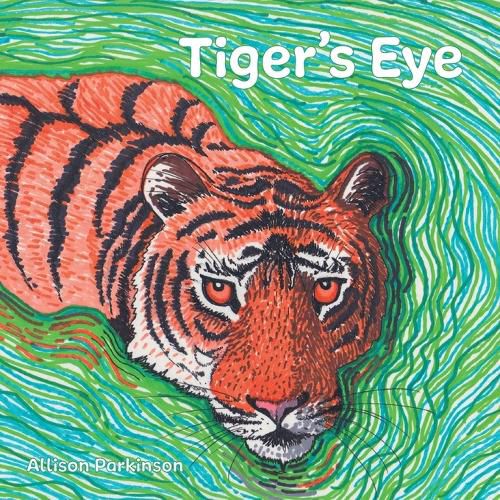 Cover image for Tiger's Eye